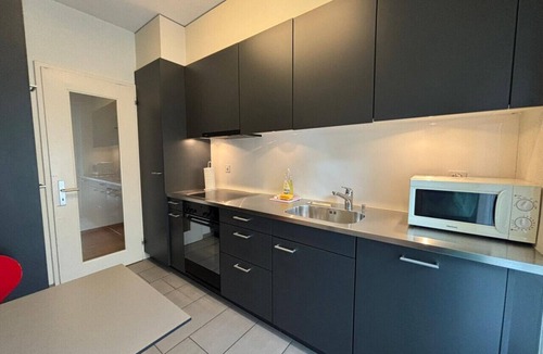 Muhlebach Apartment | Spacious 1BDR near Lake and Opera - Mill 3.11