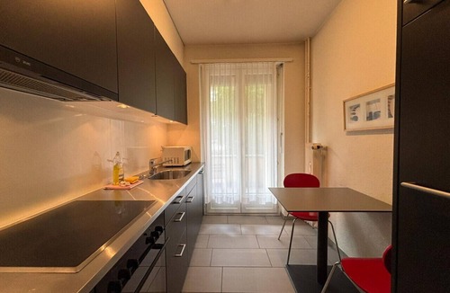 Muhlebach Apartment | Spacious 1BDR near Lake and Opera - Mill 3.11