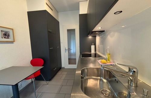 Muhlebach Apartment | Spacious 1BDR near Lake and Opera - Mill 3.11