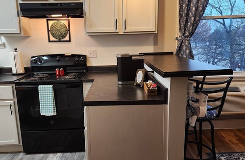 Downtown Apartment | Spacious 2 BDR Downtown Apt, Pet Friendly, Lg Kitchen, 2 Blks From State Capitol