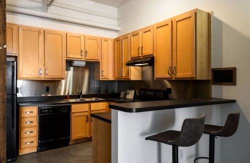 Downtown St. Louis Apartment | Spacious 2 BR Apt with Full Kitchen