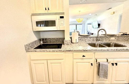 Wesley Chapel Condo | Spacious 2BR Golf View Condo |2 En Suites |Patio |Golf Getaways |Saddlebrook Resort Amenities |Pool