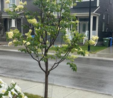 Northwest Calgary House | Spacious 3BR Home Near Airport & Shopping