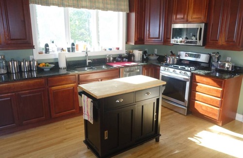 South Hill House | Spacious 4-bedroom house Close in IC and Cornell in lovely Ithaca