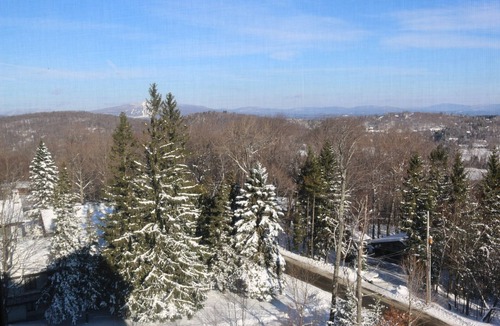 Stratton Mountain Apartment | Spacious 4Br/4Bth Lodge With Ice Skating Pond, Heated Pool, 3 Min Walk To Ski