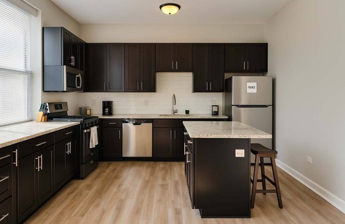 Pulaski Park Apartment | Spacious 4BR Near Wicker Park