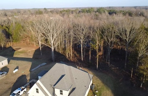 Red Banks House | Spacious 5-bedroom house in fabulous Byhalia