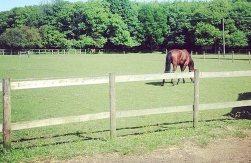 Eccles House | Spacious 8 bedroom house with fireplace