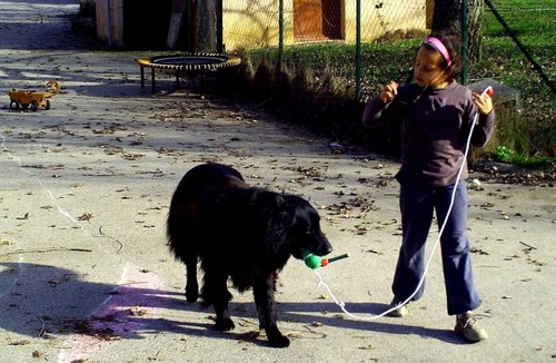 Sainte-Croix House | Spacious accommodation, comfortable, suitable for children and dogs