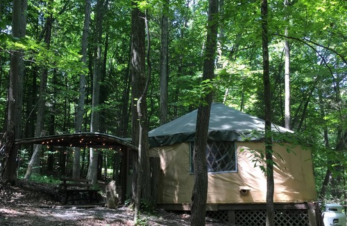 Trumansburg Cabin | Spacious, airy yurt is delightful for glamping in comfort!