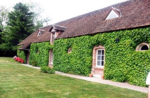 Neuvy-sur-Barangeon House | Spacious and friendly house with garden, barbecue and private parking lot