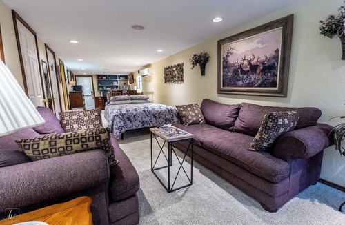 North San Antonio - SAT Apartment | Spacious AND BODACIOUS studio, sleeps 2, for guests that love the color purple!