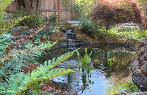 West Eugene House | Spacious and Bright! Walk Everywhere! The Eugene Vintage Bungalow