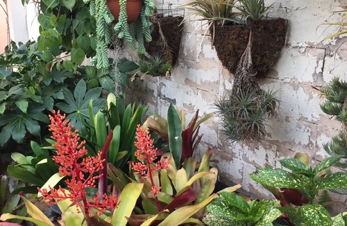 North Park Apartment | Spacious and charming apartment in the heart of North Park