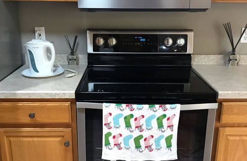 Rochester House | Spacious and clean house near airport, theater and shopping center