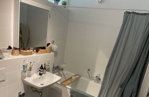 Downtown Geneva Apartment | Spacious apartment by the lake in central Geneva