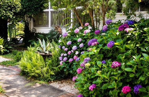 Beaufort Apartment | Spacious Carriage House with Pool & King Bed