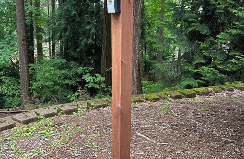 North Rose Hill Apartment | Spacious Cedar Suite Private Entry & Bath Wifi Kirkland