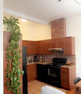 LaSalle Apartment | Spacious Condo with a Bright Interior