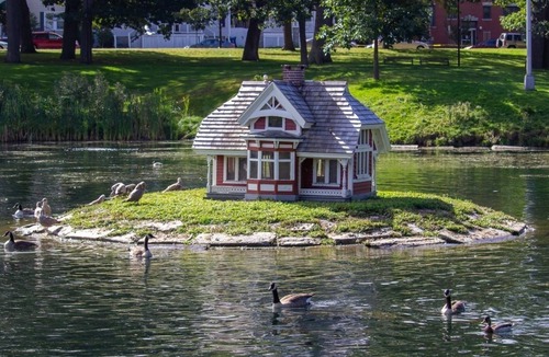 Portland House | Spacious Downtown Waterfront Unit | Pets Are Welcome | Parking!