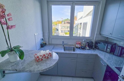 District 8 Apartment | Spacious Duplex apartment with fantastic lake view just 5 minutes from Zurich