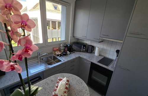 District 8 Apartment | Spacious Duplex apartment with fantastic lake view just 5 minutes from Zurich