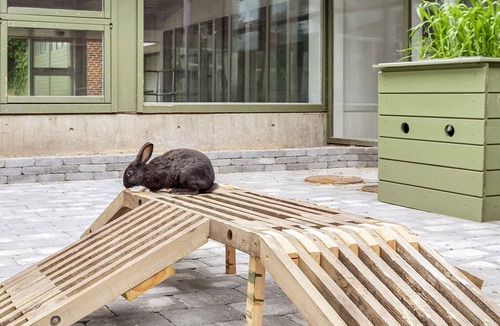 Hanstholm Apartment | Spacious Family Retreat for Four- Type6