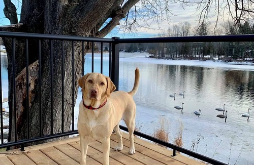 Marmora Cottage | Spacious family Riverfront Cottage with Large Deck, Only Steps from the Water