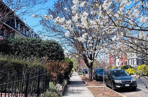 Bloomingdale House | Spacious four-bed, three-and a half- bath townhome in Washington DC.