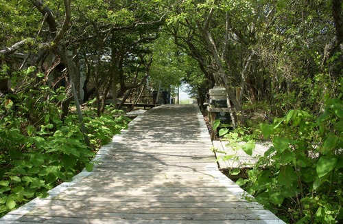 Davis Park House | Spacious Fun House Available Last Week August and First Week September 2026