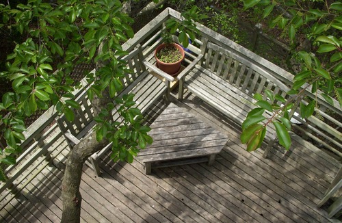 Davis Park House | Spacious Fun House Available Last Week August and First Week September 2026