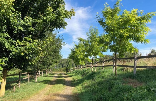 Cronat House | Spacious gîte in idyllic wooded setting by a stream with hammock & barbecue