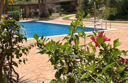 Punta Prima Apartment | "Spacious ground floor apartment" with Shared Pool, Terrace & Wi-Fi