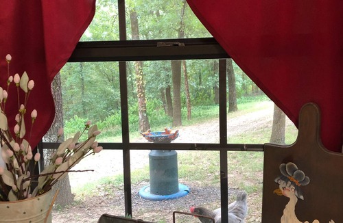 Russellville Apartment | Spacious handicapped accessible peaceful grotto in the enchanted forest.