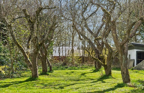 Ribe House | Spacious holiday home near Ribe for 11