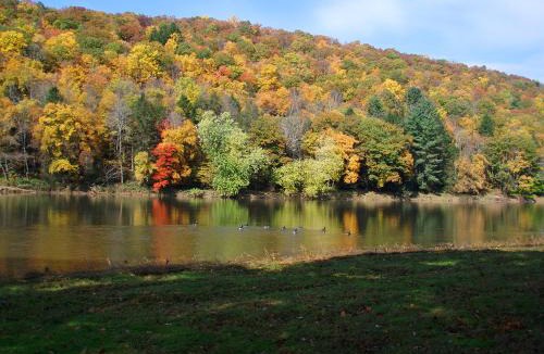 Callicoon House | Spacious Home w/Deck, Grill & Delaware River View
