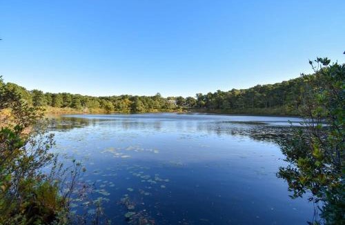 South Chatham House | Spacious Home with Direct Pond Access!