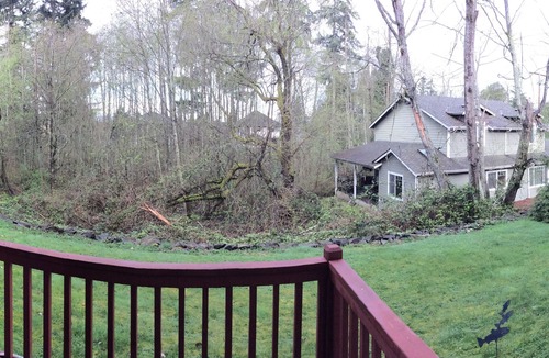 Newcastle House | Spacious house, easy access from Seatac, Seattle & Bellevue.