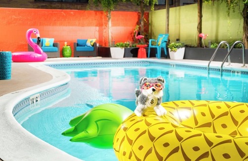 University District Hotel | Spacious Junior Suite w/Pool in Vibrant University District | Free Parking