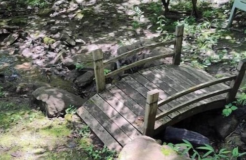 Newtown Apartment | Spacious Lakeside Hideaway