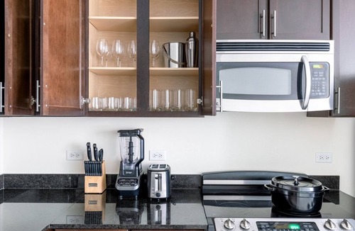Downtown Chicago Apartment | Spacious Loop 1BR w/Pool, Gym, nr. the L & Riverwalk, by Blueground
