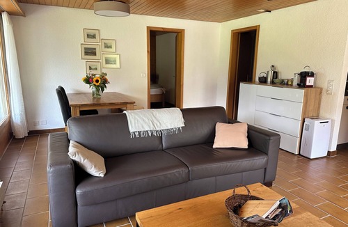 Brienz House | Spacious Luxury Villa with Magnificant views, 5 min walk to the lake
