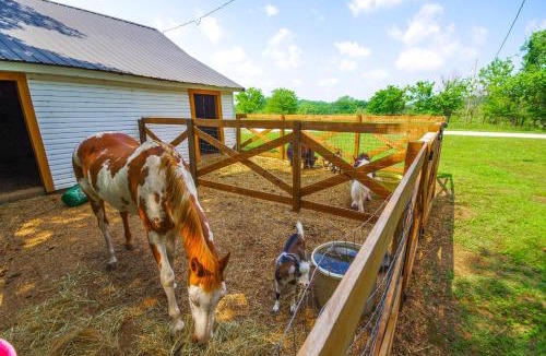 Greenfield House | Spacious Missouri Vacation Rental w/Fire Pit!