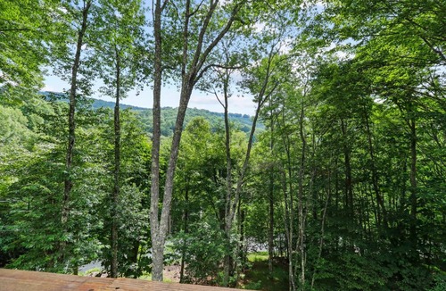 Beech Mountain House | Spacious Mtn Home Close to Slopes Escape Heat
