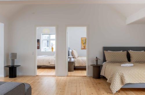 Norrebro Apartment | Spacious Nørrebro Stay for Groups & Families