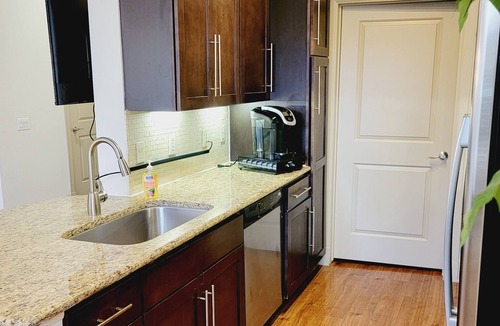 South Main Apartment | Spacious Pet Friendly 1BR Apt near Reliant NRG & Med Center