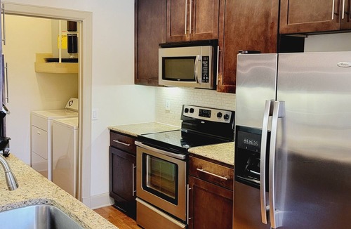 South Main Apartment | Spacious Pet Friendly 1BR Apt near Reliant NRG & Med Center