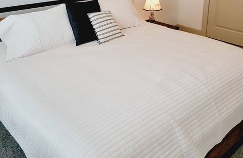 South Main Apartment | Spacious Pet Friendly 1BR Apt near Reliant NRG & Med Center