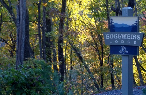 Apple Ridge Cabin | 🍁Spacious Pvt 3-Level 2-Deck Lodge🍁2Grt Rm/3K/2T/3Bunk🍁Fireplace🍁Foosball🍁