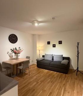 Bayreuth Apartment | Spacious Residenz Platz 2 Apartment in the city centre